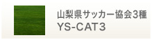 山梨県サッカー協会3種 YS-CAT3